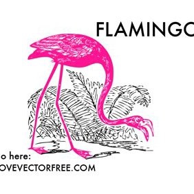 Pink Flamingo - Free vector #221061